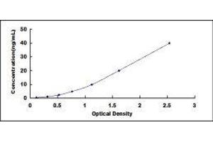 Typical standard curve (Calreticulin ELISA Kit)