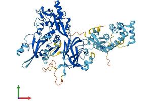 Protein Structure (PS) image for Calpain 12 (CAPN12) (AA 1-720) protein (His tag) (ABIN7561419)