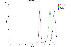 Flow Cytometry analysis of CACO-2 cells using anti-Angiomotin/AMOT antibody (ABIN7599826). (Angiomotin Antikörper  (AA 12-622))