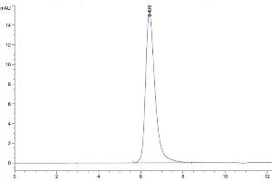 Size-exclusion chromatography-High Pressure Liquid Chromatography (SEC-HPLC) image for Integrin beta-6 (ITGB6) (AA 22-707) protein (His tag) (ABIN7275052)