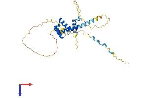 PRRX2 Protein (AA 1-253) (His tag)