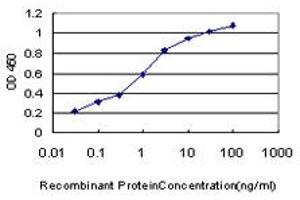 Detection limit for recombinant GST tagged TAOK1 is approximately 0. (TAO Kinase 1 (TAOK1) (AA 892-1001) Antikörper)