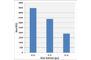 Starch Detection in Total Rice Extract using the Starch Assay Kit (Fluorometric) (Starch Assay Kit (Fluorometric))