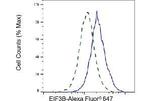 Validation of EIF3B knockdown using flow cytometry. (Rekombinanter EIF3B Antikörper)