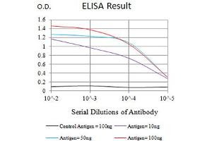 Black line: Control Antigen (100 ng),Purple line: Antigen (10 ng), Blue line: Antigen (50 ng), Red line:Antigen (100 ng) (LILRB2 Antikörper  (AA 51-184))