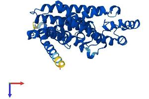 FDPS Protein (AA 1-353) (His tag)
