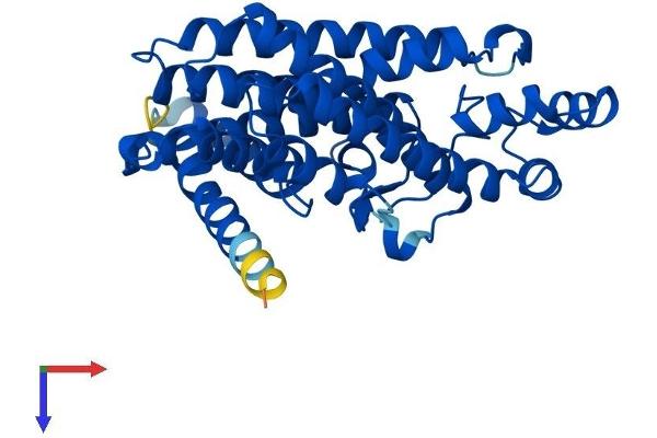 FDPS Protein (AA 1-353) (His tag)