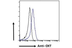 ABIN570836 Flow cytometric analysis of paraformaldehyde fixed NIH3T3 cells (blue line), permeabilized with 0. (OXT Antikörper  (C-Term))