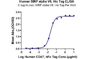Immobilized Human SIRP alpha V8, His Tag at 1 μg/mL (100 μL/Well) on the plate. (SIRP AlphaV8 protein (His-Avi Tag))