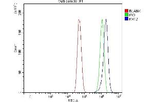 Flow Cytometry analysis of U251 cells using anti-Cytokeratin 2e/KRT2 antibody (ABIN7600644). (Keratin 2 Antikörper  (AA 213-332))