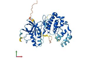 Protein Structure (PS) image for Mitogen-Activated Protein Kinase 12 (MAPK12) (AA 1-367) protein (His tag) (ABIN7562223)