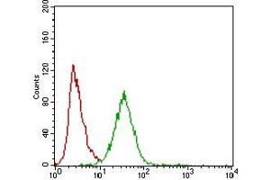 Flow cytometric analysis of Hela cells using ZEB1 mouse mAb (green) and negative control (red). (ZEB1 Antikörper  (AA 967-1108))