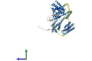 Protein Structure (PS) image for Huntingtin Interacting Protein 1 (HIP1) (AA 1-1029) protein (His tag) (ABIN7564741)