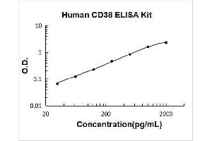 CD38 ELISA Kit