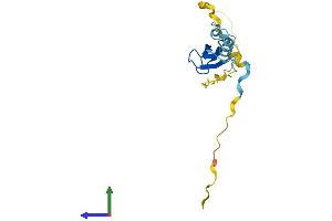 Protein Structure (PS) image for Lipopolysaccharide-Induced Tumor Necrosis Factor-alpha Factor (LITAF) (AA 1-161) protein (His tag) (ABIN7549047)