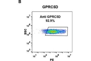 Flow Cytometry (FACS) image for anti-G Protein-Coupled Receptor, Family C, Group 5, Member D (GPRC5D) (AA 2-21) antibody (ABIN7092892)