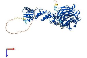 KEAP1 Protein (AA 1-624) (His tag)