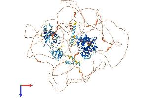 AlphaFold protein structure predicition of Mouse Recombinant Arhgap33 Protein, UniprotID Q80YF9