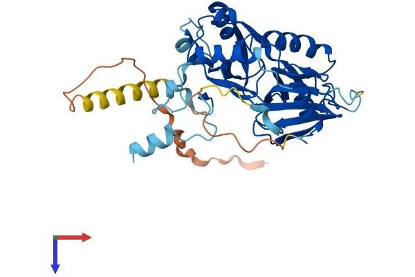 Snurportin 1 Protein (SNUPN) (AA 1-358) (His tag)