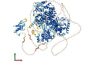 Protein Structure (PS) image for ATP-Dependent RNA Helicase A (DHX9) (AA 1-1380) protein (His tag) (ABIN7562506)