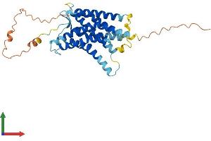 Protein Structure (PS) image for Duffy Blood Group, Chemokine Receptor (DARC) (AA 1-336) protein (His tag) (ABIN7551828)
