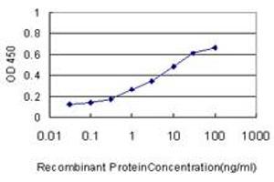 ELISA image for anti-Translocase of Inner Mitochondrial Membrane 8A (TIMM8A) (AA 9-97) antibody (ABIN560598)