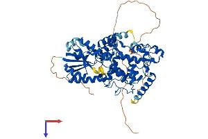 CRY2 Protein (AA 1-592) (His tag)