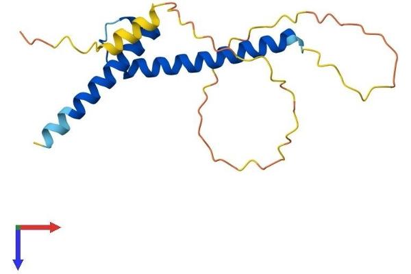 FERD3L Protein (AA 1-168) (His tag)