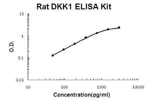 Rat DKK1 PicoKine ELISA Kit standard curve