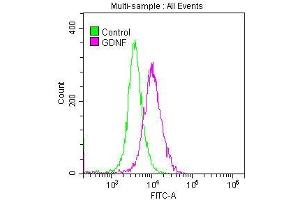 Overlay histogram showing SH-SY5Y cells stained with ABIN7127513 (red line) at 1:50. (Rekombinanter GDNF Antikörper)