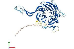 Protein Structure (PS) image for Protein Phosphatase 2, Regulatory Subunit B, gamma (PPP2R2C) (AA 1-447) protein (His tag) (ABIN7551834)