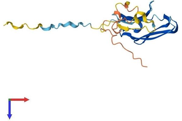 CRYAB Protein (AA 1-175) (His tag)