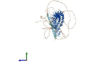 Protein Structure (PS) image for Inversin (INVS) (AA 1-1065) protein (His tag) (ABIN7554192)