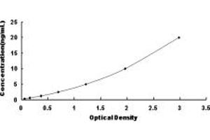 Typical standard curve (PRKAB1 ELISA Kit)