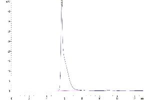 Size-exclusion chromatography-High Pressure Liquid Chromatography (SEC-HPLC) image for Desmoglein 2 (DSG2) (AA 55-618) protein (His tag) (ABIN7274502)