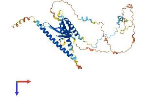 PLEKHO1 Protein (AA 1-408) (His tag)