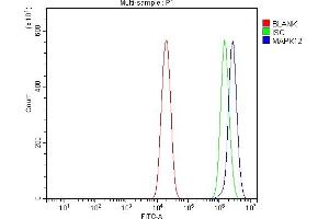 Flow Cytometry analysis of U20S cells using anti-P38 Gamma/MAPK12 antibody (ABIN7600727).