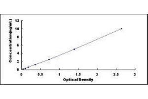 ELISA image for Cyclin-Dependent Kinase Inhibitor 1A (p21, Cip1) (CDKN1A) ELISA Kit (ABIN434633)