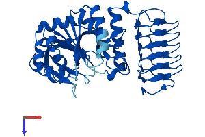 GMPPB Protein (AA 1-360) (His tag)