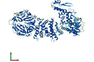 Protein Structure (PS) image for Hect Domain and RLD 4 (HERC4) (AA 1-1057) protein (His tag) (ABIN7564109)
