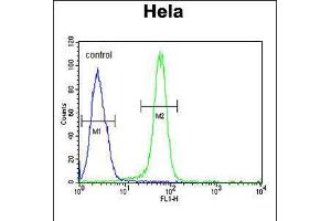 Flow cytometric analysis of Hela cells (right histogram) compared to a negative control cell (left histogram). (NPAP1 Antikörper  (AA 348-377))