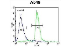 Flow Cytometry (FACS) image for anti-PARP1 Binding Protein (PARPBP) antibody (ABIN2995516) (PARPBP Antikörper)