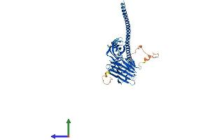 Protein Structure (PS) image for Fibronectin Type III and SPRY Domain Containing 1 (FSD1) (AA 1-496) protein (His tag) (ABIN7558248)