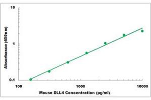 Representative Standard Curve (DLL4 ELISA Kit)