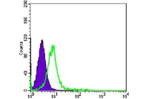 Flow Cytometry (FACS) image for anti-Chromodomain Helicase DNA Binding Protein 3 (CHD3) antibody (ABIN2983311) (CHD3 Antikörper)