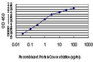 ELISA image for anti-Tripartite Motif Containing 33 (TRIM33) (AA 1006-1106) antibody (ABIN599250) (TRIM33 Antikörper  (AA 1006-1106))