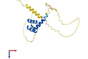 RAX2 Protein (AA 1-184) (His tag)