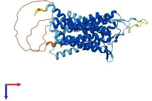 GPR172B Protein (AA 1-448) (His tag)