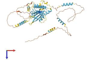 DYNC1LI2 Protein (AA 1-492) (His tag)