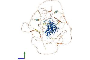 Protein Structure (PS) image for Nuclear Factor of Activated T-Cells, Cytoplasmic, Calcineurin-Dependent 1 (NFATC1) (AA 1-943) protein (His tag) (ABIN7554751)